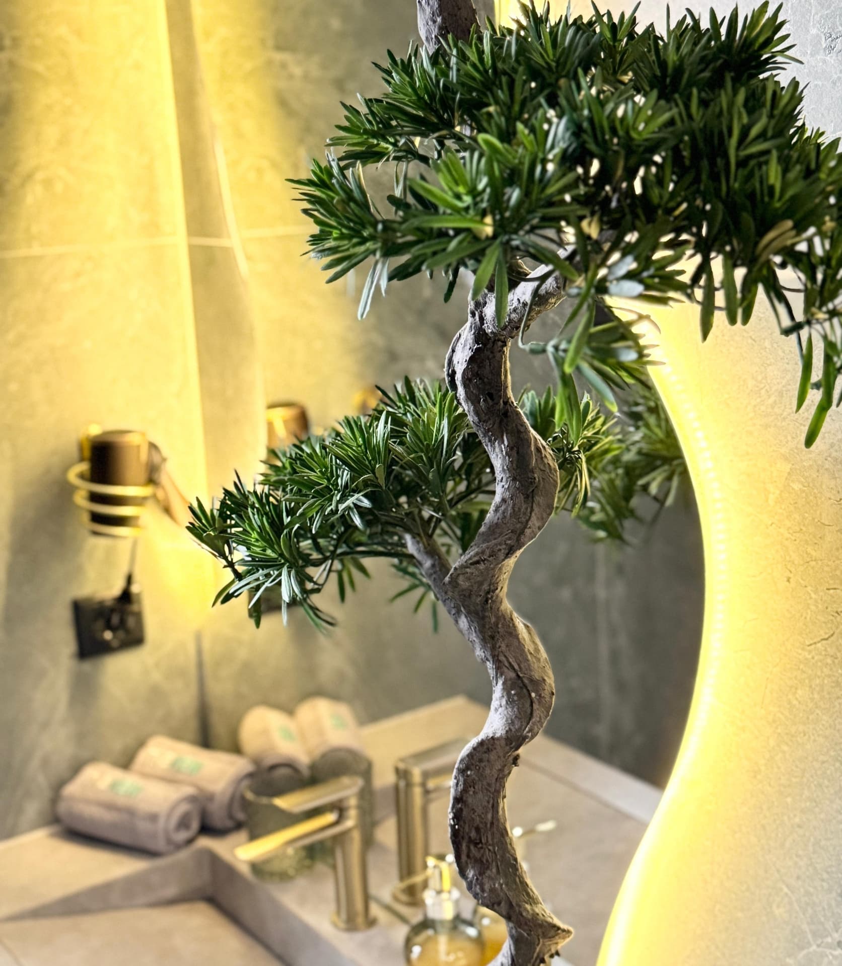 Untitled design (7) (1)